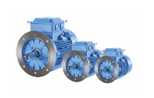 Flange Motors